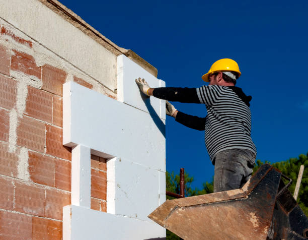 Best Spray Foam Insulation  in Whitney, NV