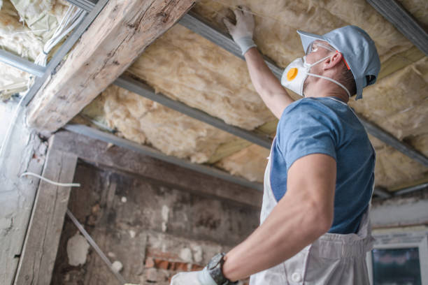 Attic Insulation Near Me in Whitney, NV