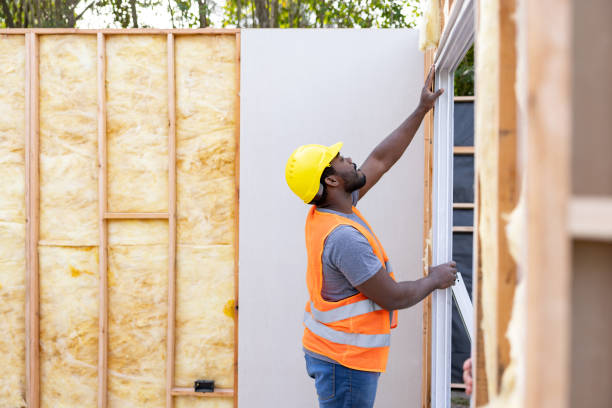 Garage Insulation Installation in Whitney, NV