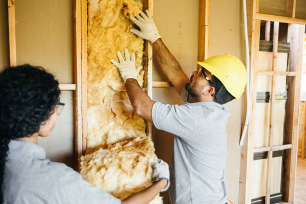 Best Wall Insulation Contractor  in Whitney, NV