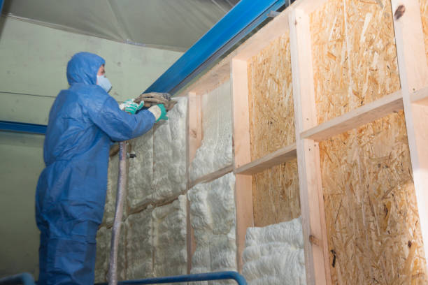  Whitney, NV Insulation Contractor Pros