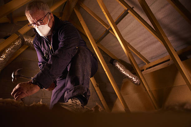 Best Energy-efficient Insulation  in Whitney, NV
